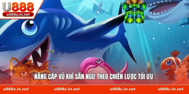 Nâng cấp vũ khí săn ngư theo chiến lược tối ưu