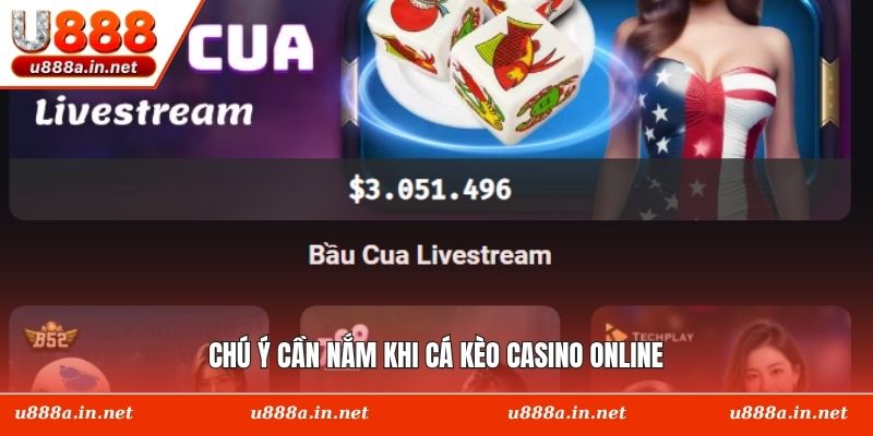 Chú ý cần nắm khi cá kèo casino online