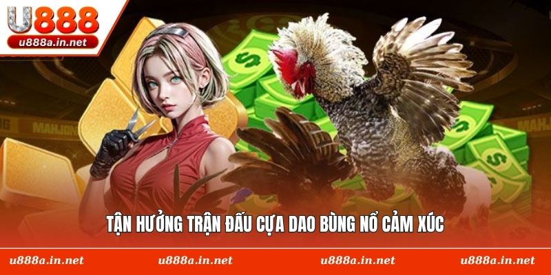 Tận hưởng trận đấu cựa dao bùng nổ cảm xúc