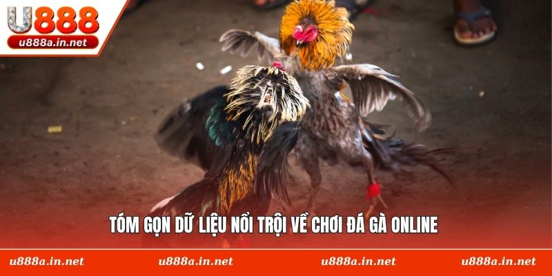 Tóm gọn dữ liệu nổi trội về chơi đá gà online