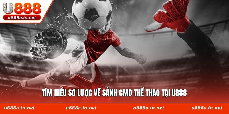 Tìm hiểu sơ lược về sảnh CMD thể thao tại U888