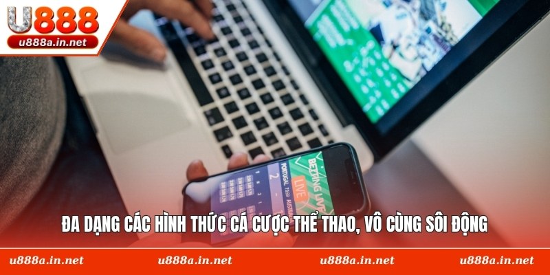 Đa dạng các hình thức cá cược thể thao, vô cùng sôi động