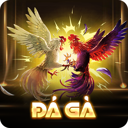 Trực tiếp đá gà u888