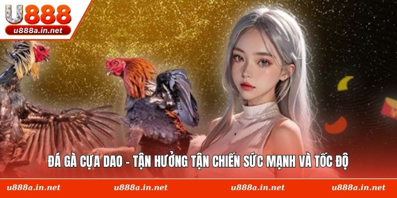Đá Gà Cựa Dao - Tận Hưởng Tận Chiến Sức Mạnh Và Tốc Độ