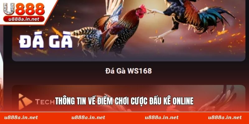 Thông tin về điểm chơi cược đấu kê online