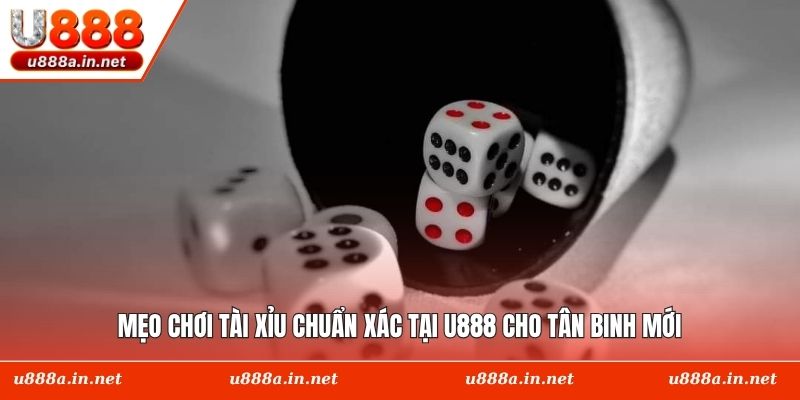 Mẹo Chơi Tài Xỉu Chuẩn Xác Tại U888 Cho Tân Binh Mới