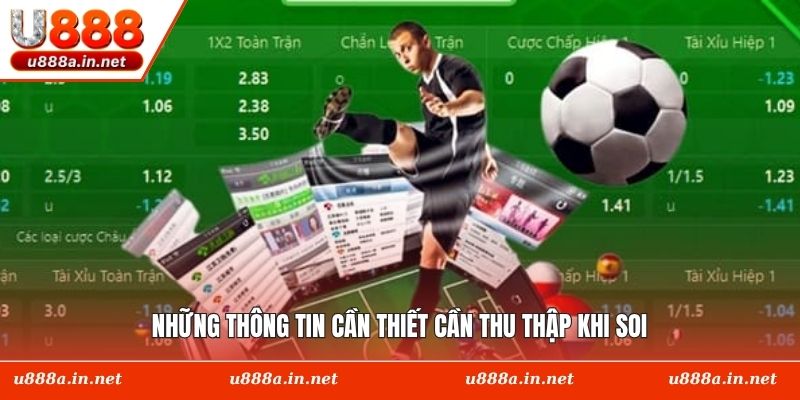 Những thông tin cần thiết cần thu thập khi soi