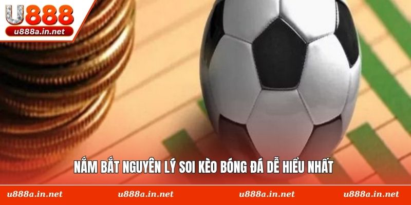 Nắm bắt nguyên lý soi kèo bóng đá dễ hiểu nhất