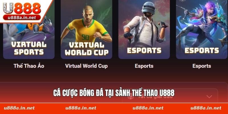 Cá cược bóng đá tại sảnh thể thao U888